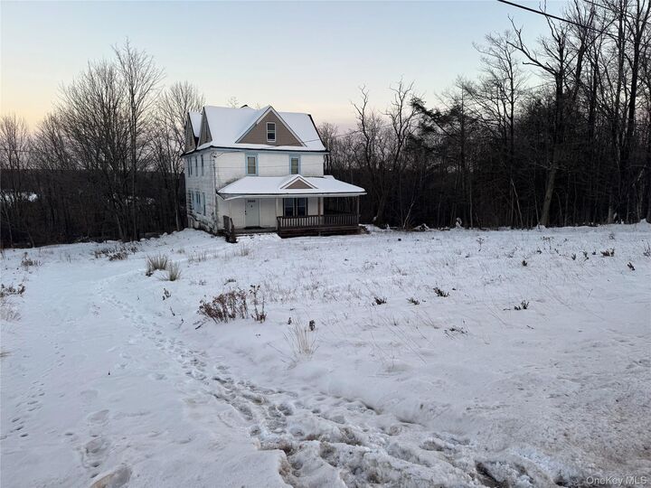 Property Photo:  74 Cold Spring Road  NY 12754 