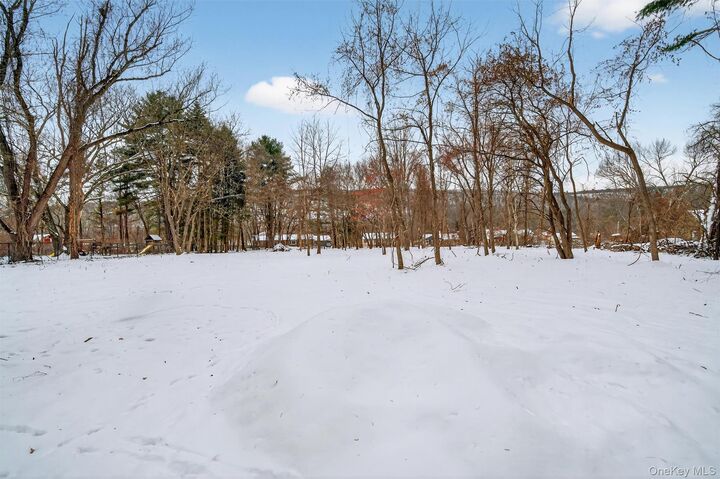 Property Photo:  93 Route 209  NY 12771 