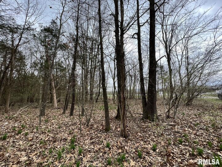 Property Photo:  000 US Route 51 Highway  IL 62924 