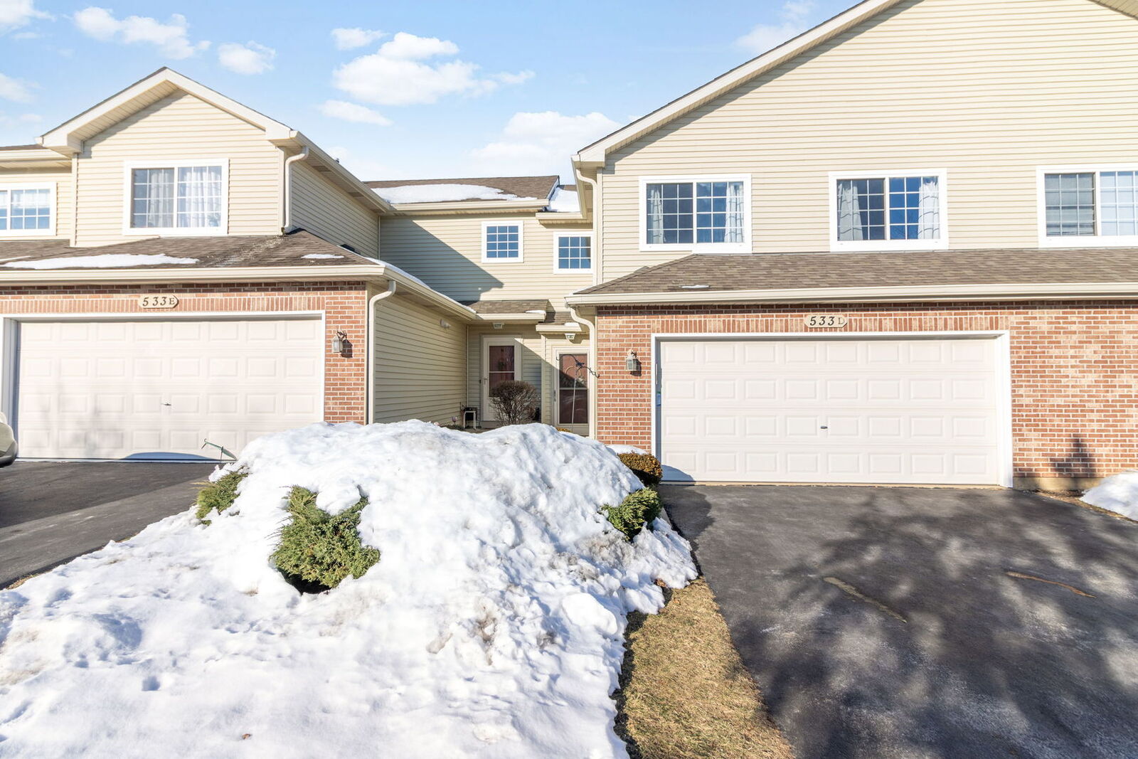 Property Photo: 533 Mallard Lane D IL 60554