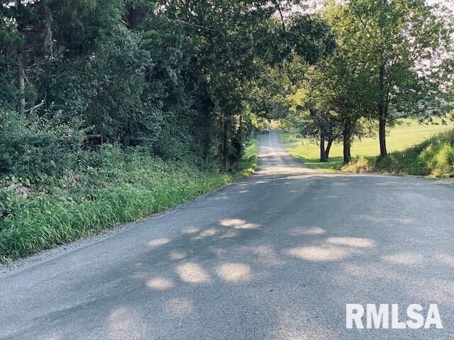 Property Photo: Lot 3 Falcon Road IL 62901