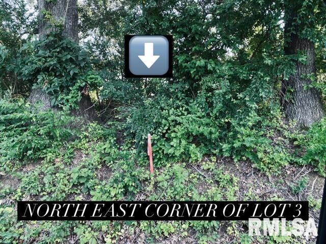 Property Photo:  Lot 2 Falcon Road  IL 62901 