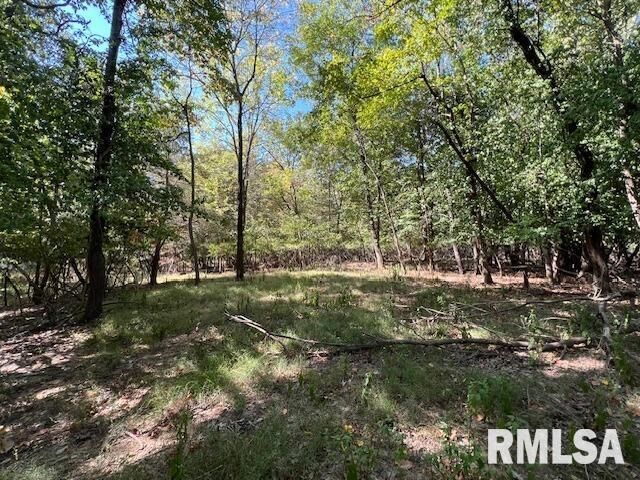 Property Photo: 000 Barnett Street IL 62918