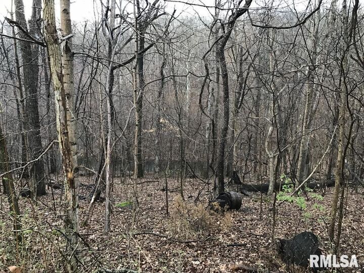 Property Photo: 00 Deer Ridge Road IL 62939