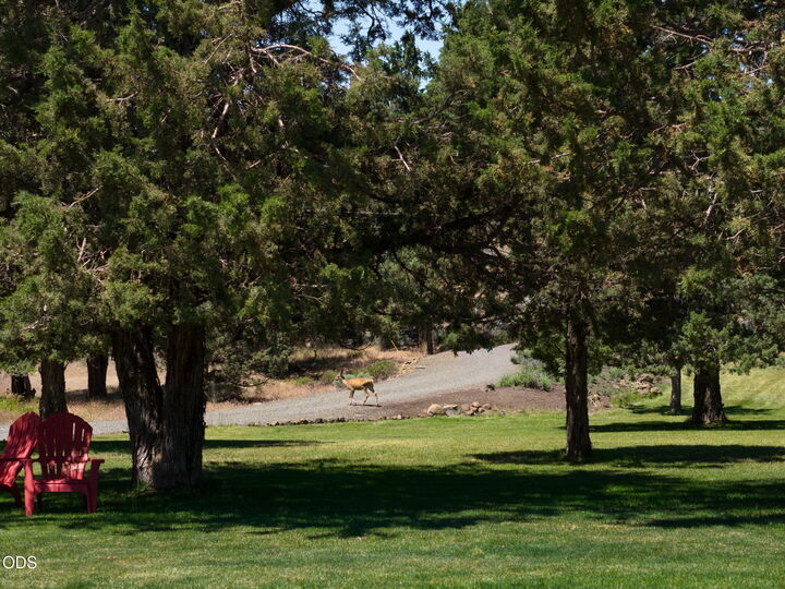 Property Photo: 13535 SW Cinder Drive OR 97760