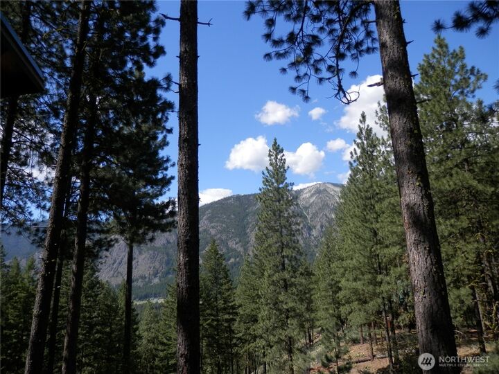 Property Photo:  80  Homestead Road  WA 98862 