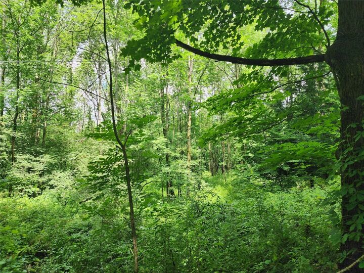 Property Photo:  0 North End Rd  NY 13040 