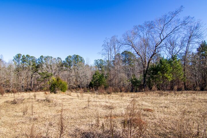 Property Photo:  0 Chestnut Grove Road  GA 31826 
