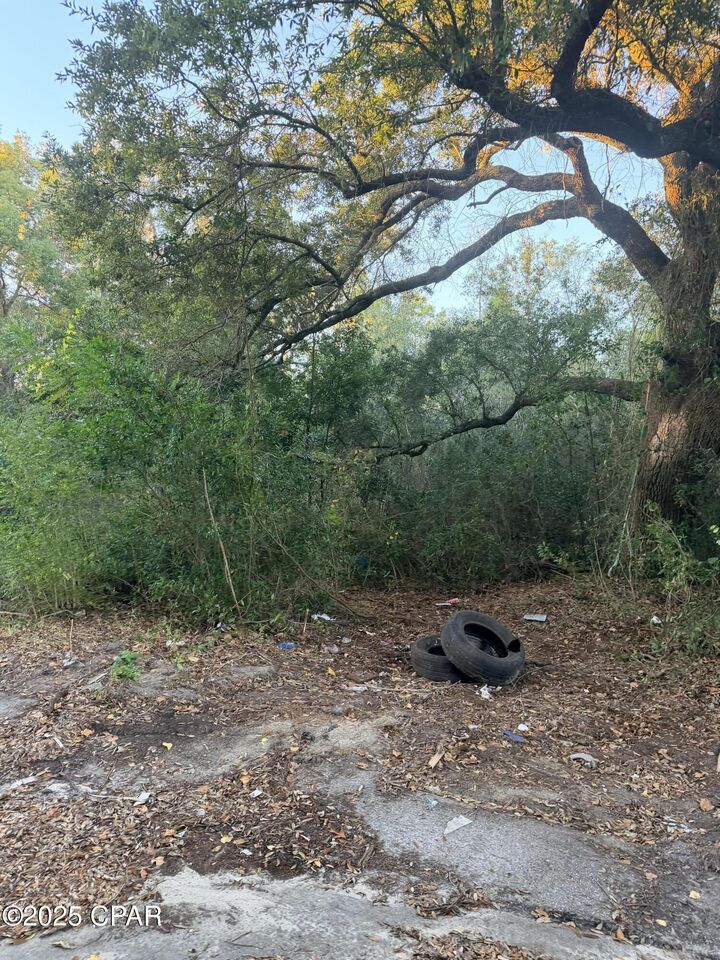 Property Photo: 000 Fountain Avenue FL 32405