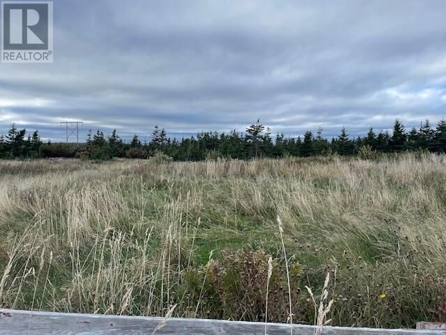 Property Photo:  Lot 5 McIsaac'S Lane  NL A0N 1T0 