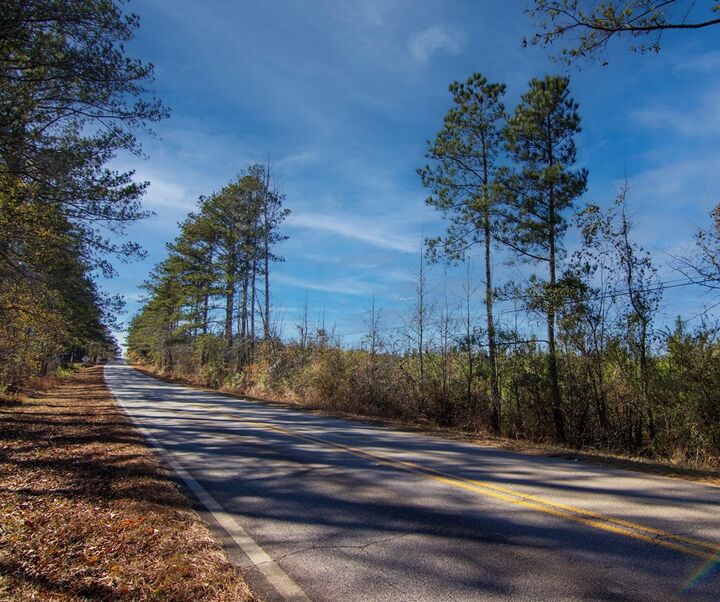 Property Photo:  0 Chestnut Grove Road  GA 31826 