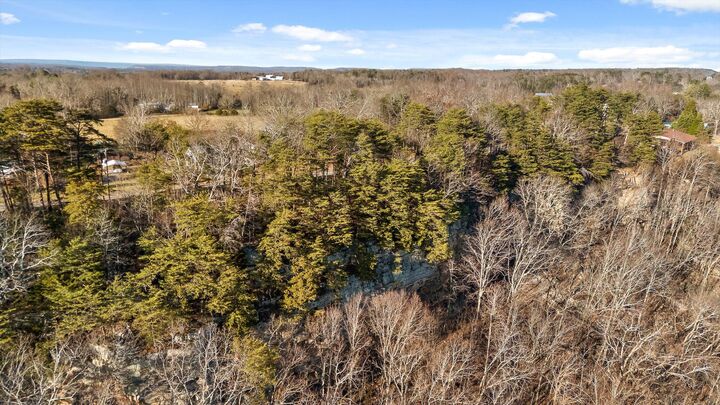 Property Photo:  0 Brow Lot 1, 2, 13 Road  GA 30752 