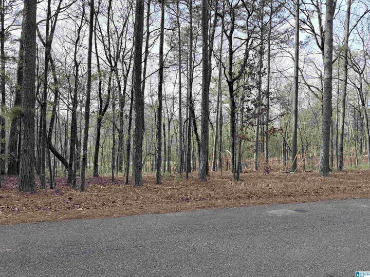 Property Photo:  0 Renfroe Road 5  AL 35014 