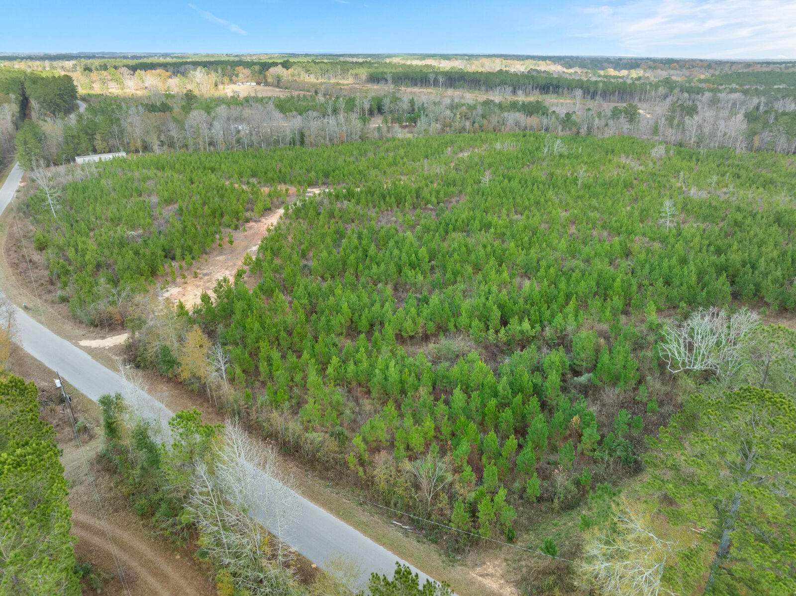 Property Photo: 84.5 Acre Guthrie Carter Rd. MS 39459