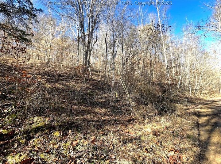 Property Photo: 0 Two Mile Creek Road WV 25570