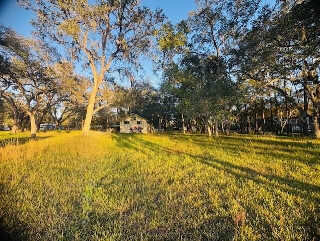 Property Photo:  17476 Nicholas Avenue  FL 34604 