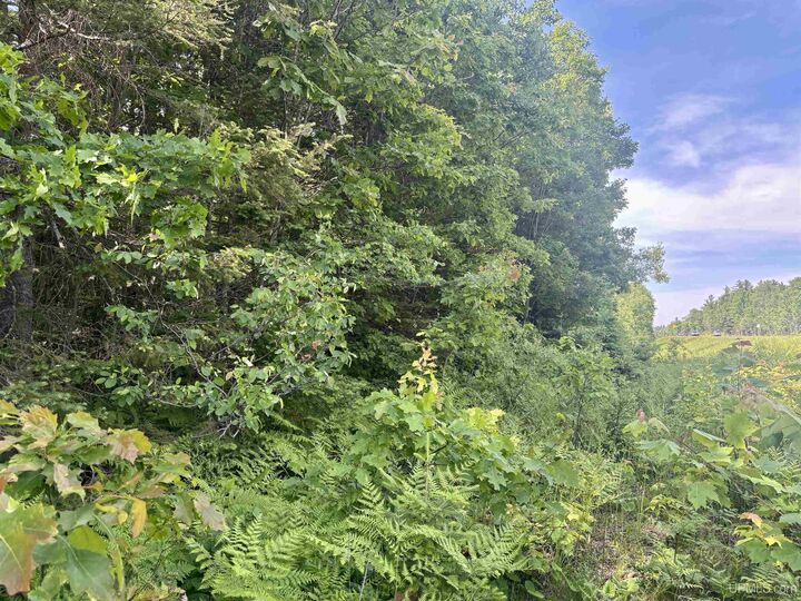 Property Photo:  Parcel B M 553 Highway  MI 49841 