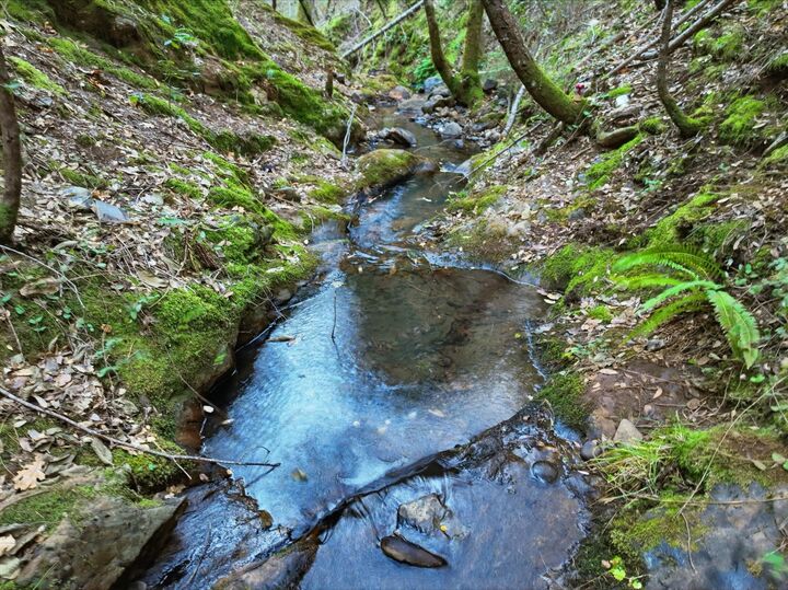 Property Photo:  12050 Buckeye Road  CA 95959 