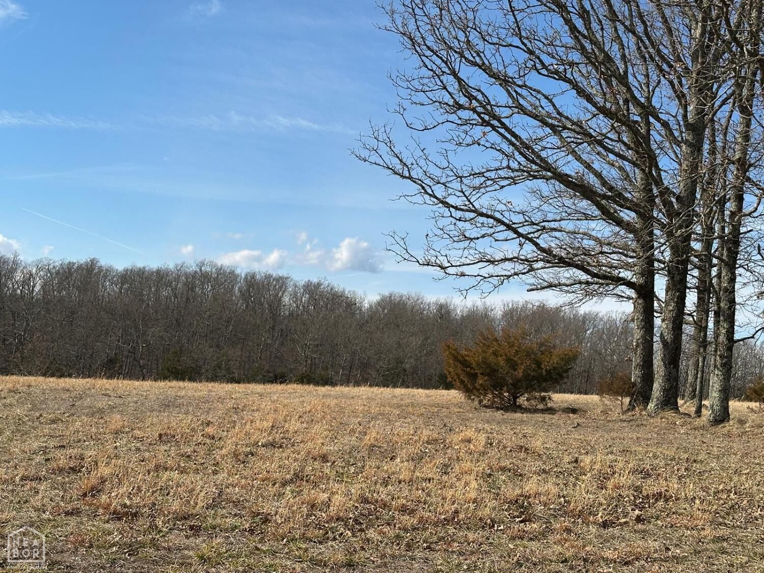 Property Photo:  1779 Nc 1600  AR 72624 