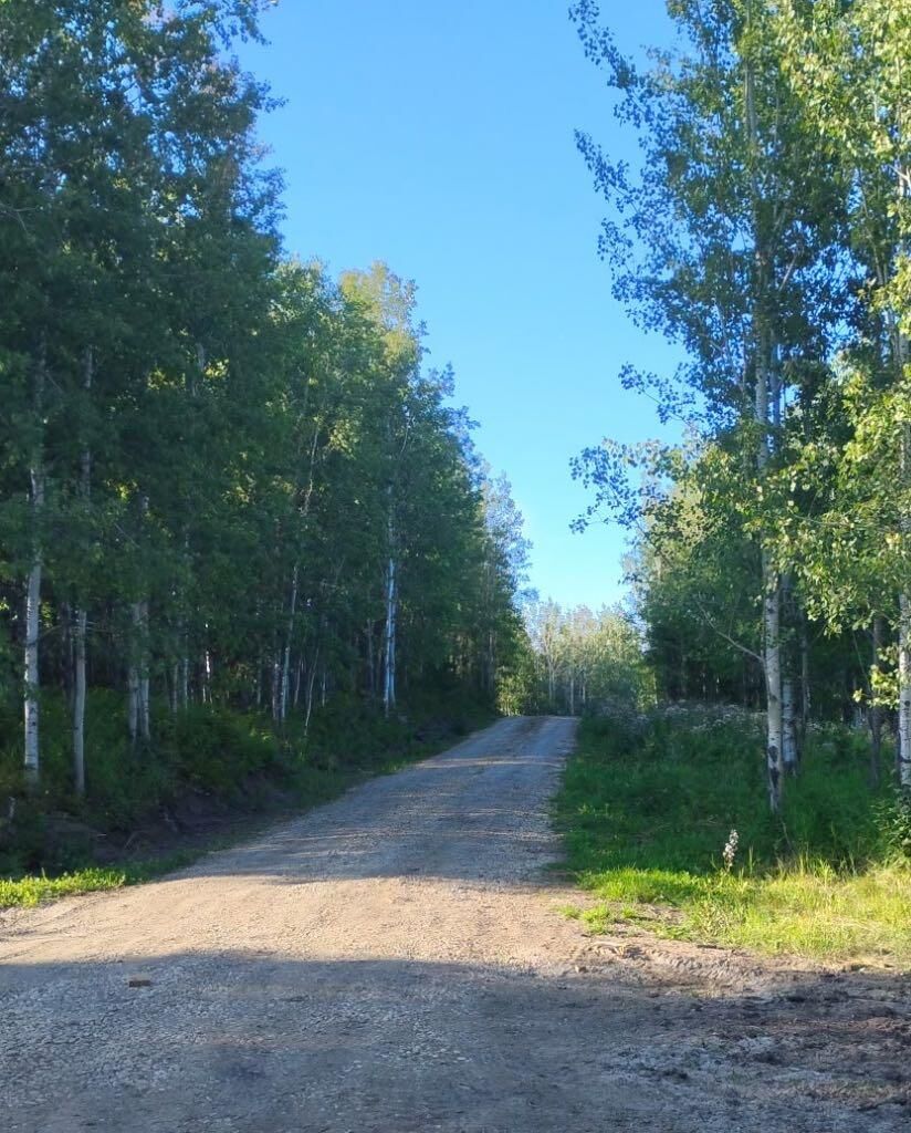 Property Photo:  421008 Range Road 14 28  AB T0C 2J0 