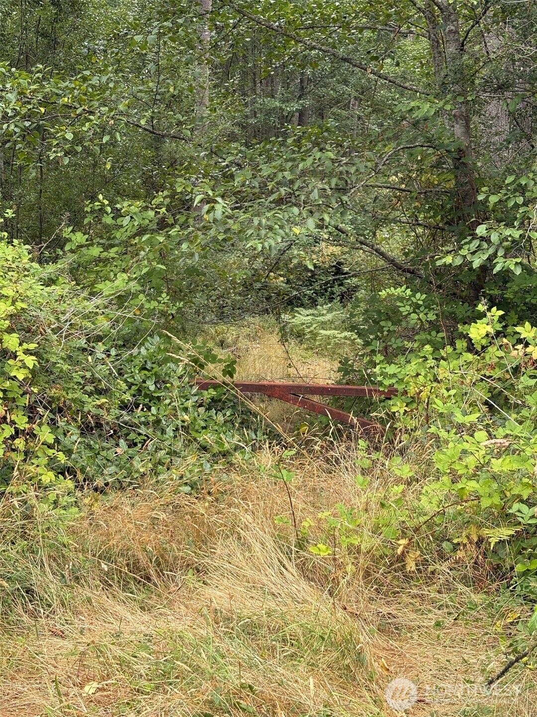 Property Photo:  0  State Route 525  WA 98249 