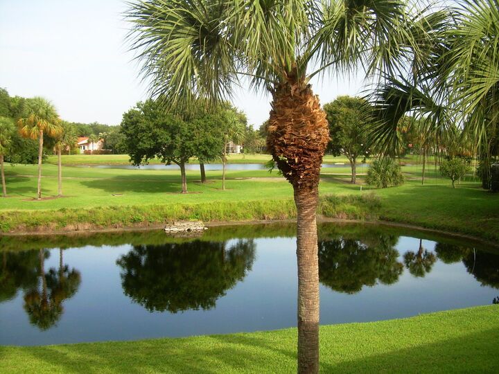 Property Photo:  17061 Emile Street 8  FL 33487 