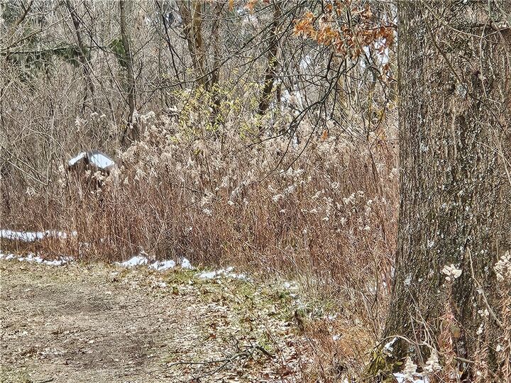 Property Photo:  2505 Lot 2 Guffey  PA 15642 