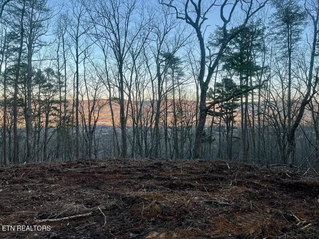 Property Photo:  Old Spencer Road - 198 Acres  TN 37367 