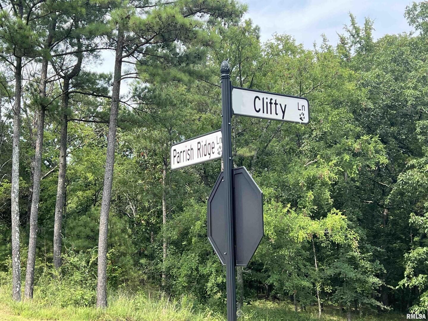 Property Photo:  Lot 333 Clifty Lane  IL 62939 