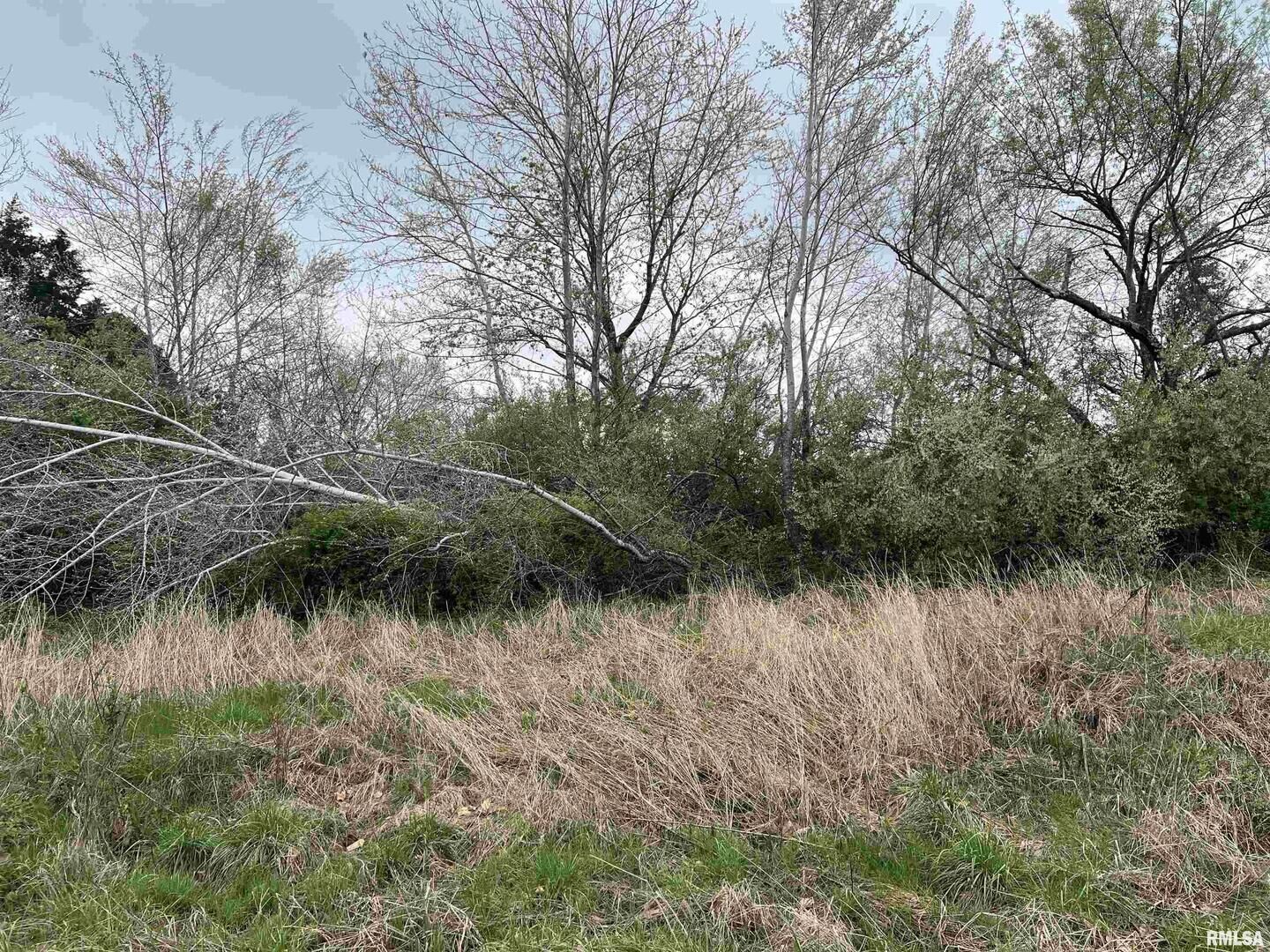 Property Photo:  Lot 103 Cherokee Road  IL 62939 