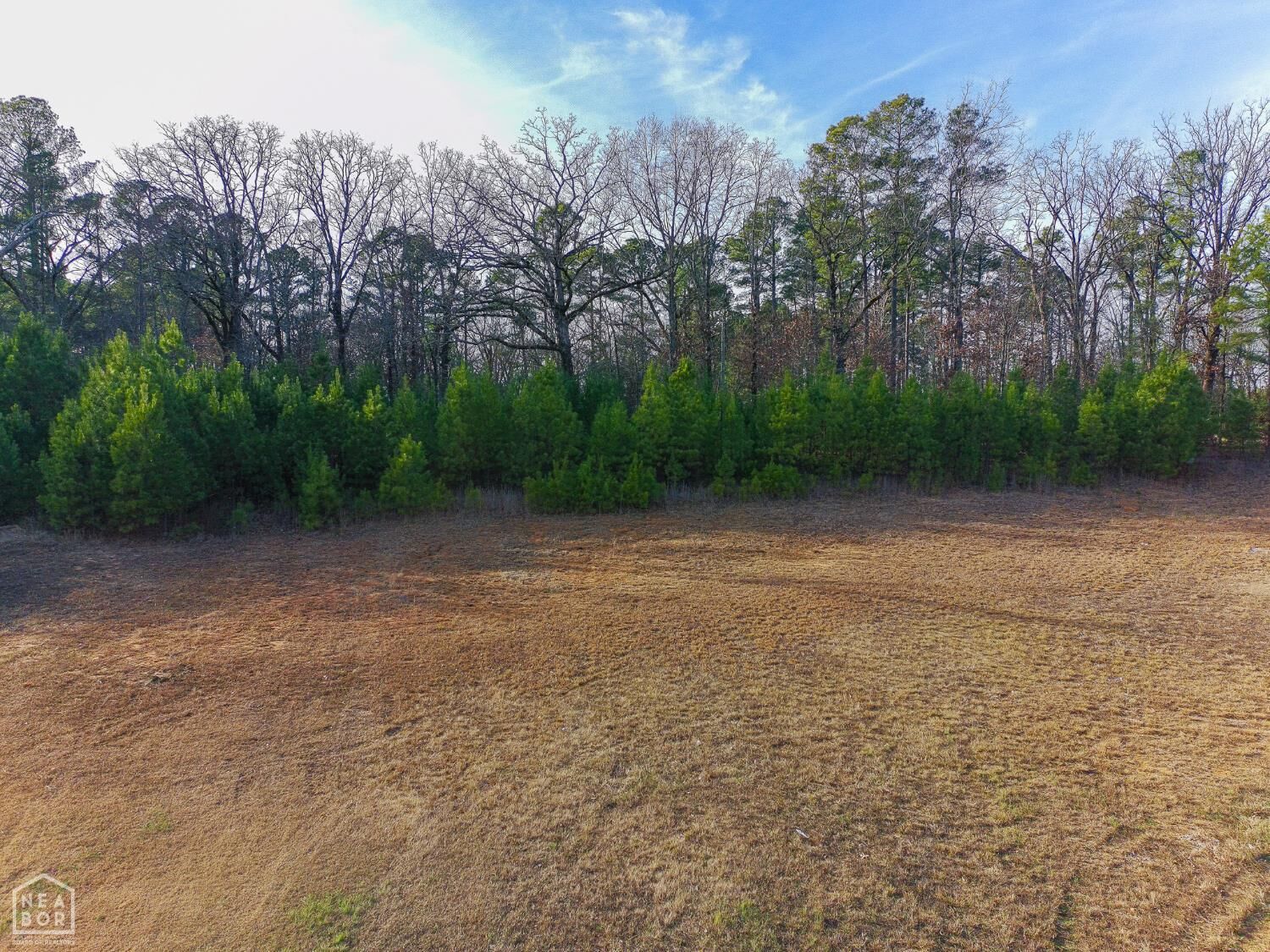Property Photo:  3911 Wigeon Cove  AR 72404 