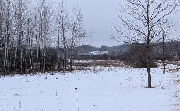 Property Photo: Tbd Hummingbird Road MN 56347