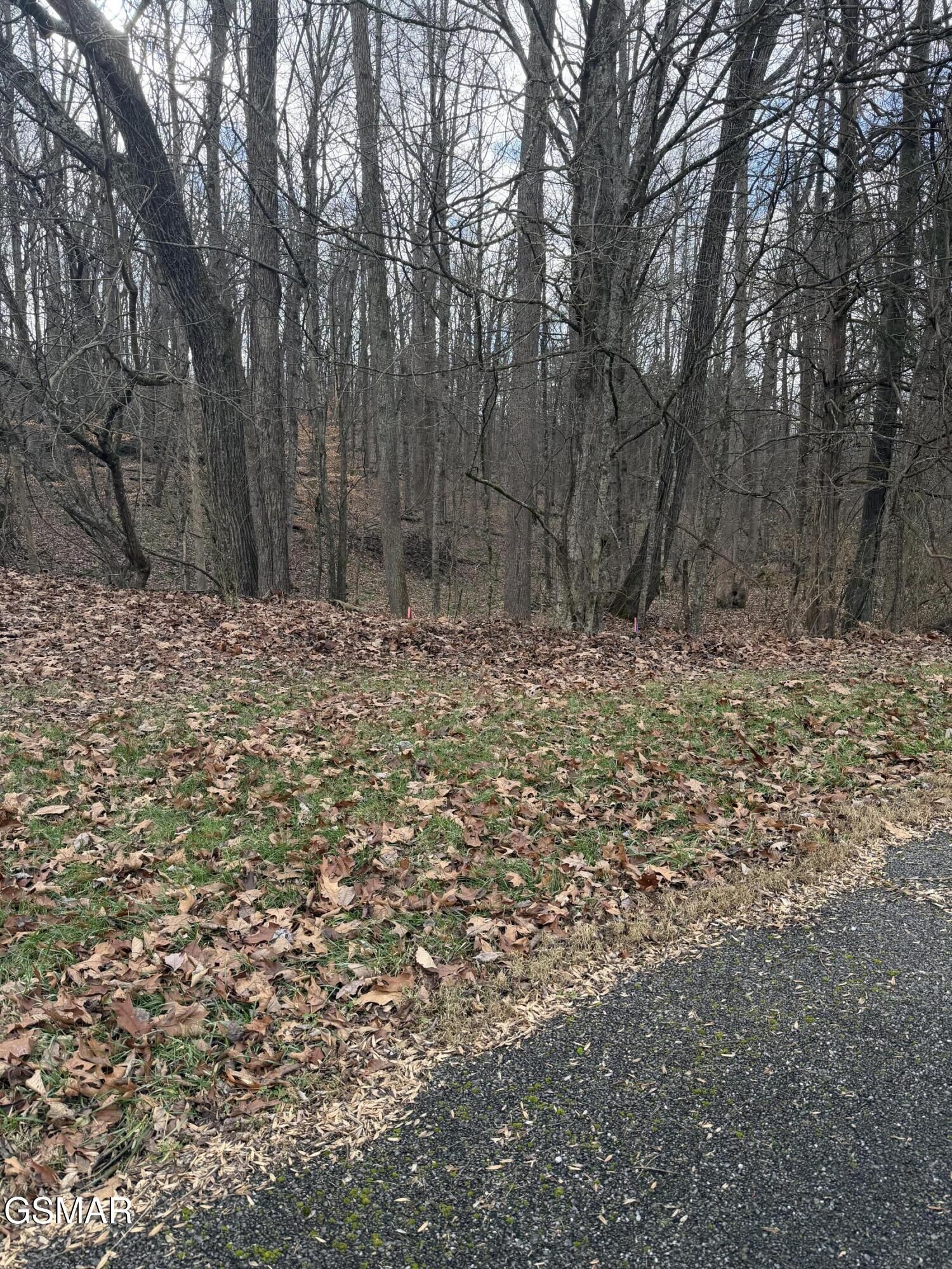 Property Photo: Lot 4 Pilgrim Road TN 37725