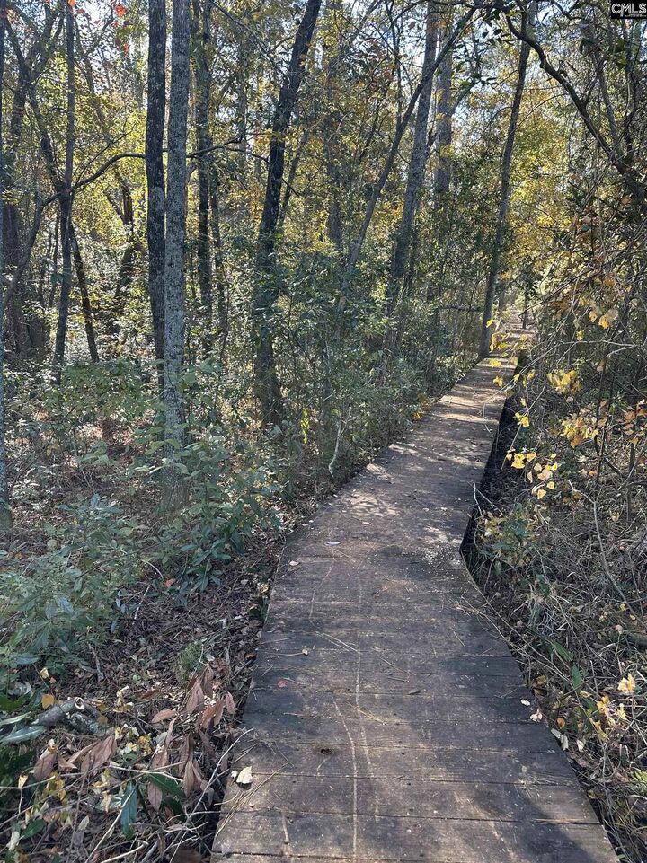 Property Photo:  Lot 39 Edisto Lake  SC 29164 