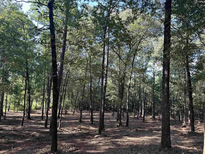 Property Photo:  Lot 39 Edisto Lake  SC 29164 