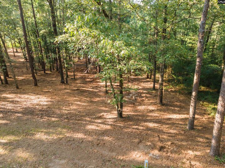 Property Photo:  Lot 39 Edisto Lake  SC 29164 