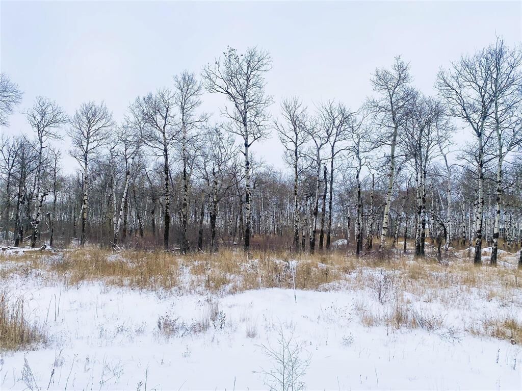 Photo de la propriété:  22 Cyrus Lane  MB R0A 0W1 