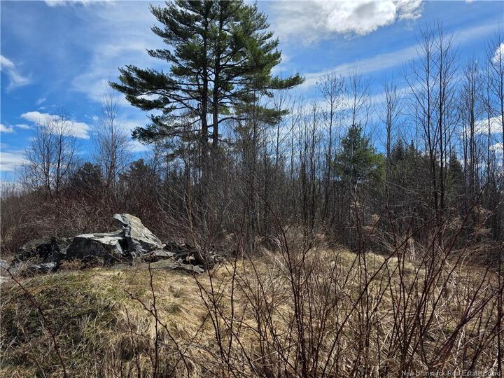 Property Photo: 00 Crest Avenue NB E3L 5C1