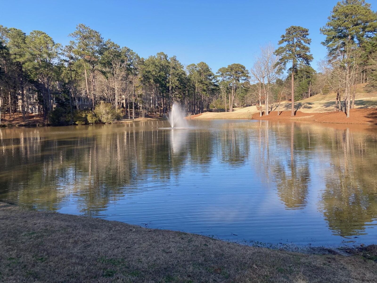 Property Photo:  1060 Dejarnet Place  GA 30642 