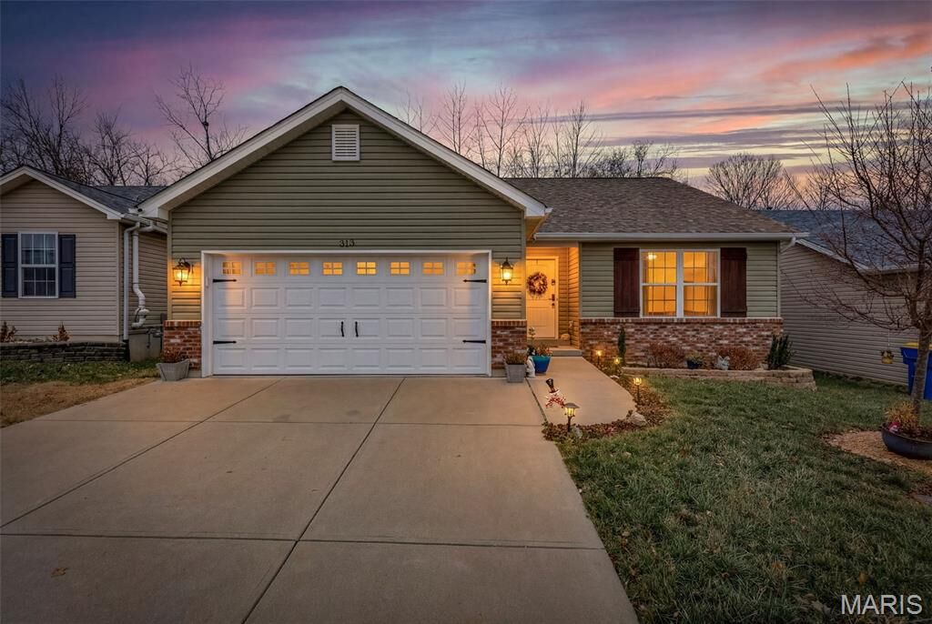 Property Photo:  313 Andy Habsieger Street  MO 63028 