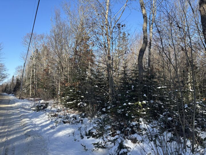 Property Photo: M11l17 Rogers Point Road ME 04680