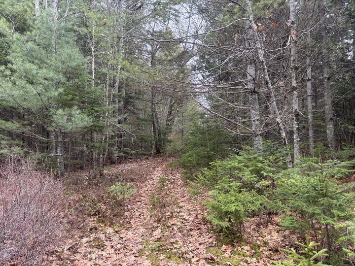 Property Photo:  M11l17 Rogers Point Road  ME 04680 