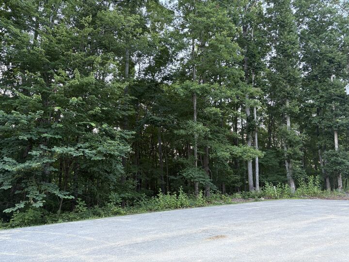 Property Photo: 0 Mountain Lake Lane TN 38583