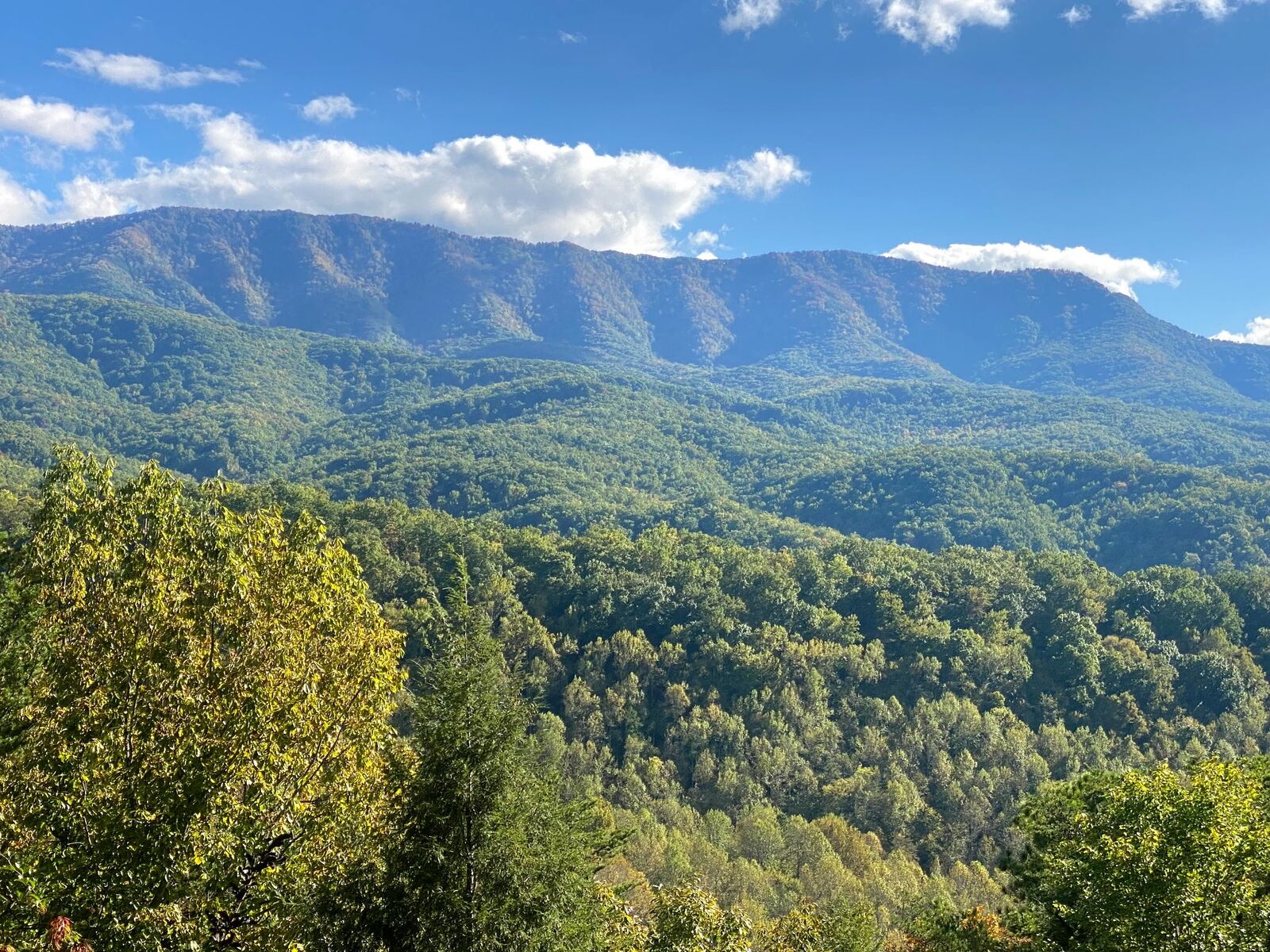 Property Photo:  549 Geneva Ln  TN 37738 