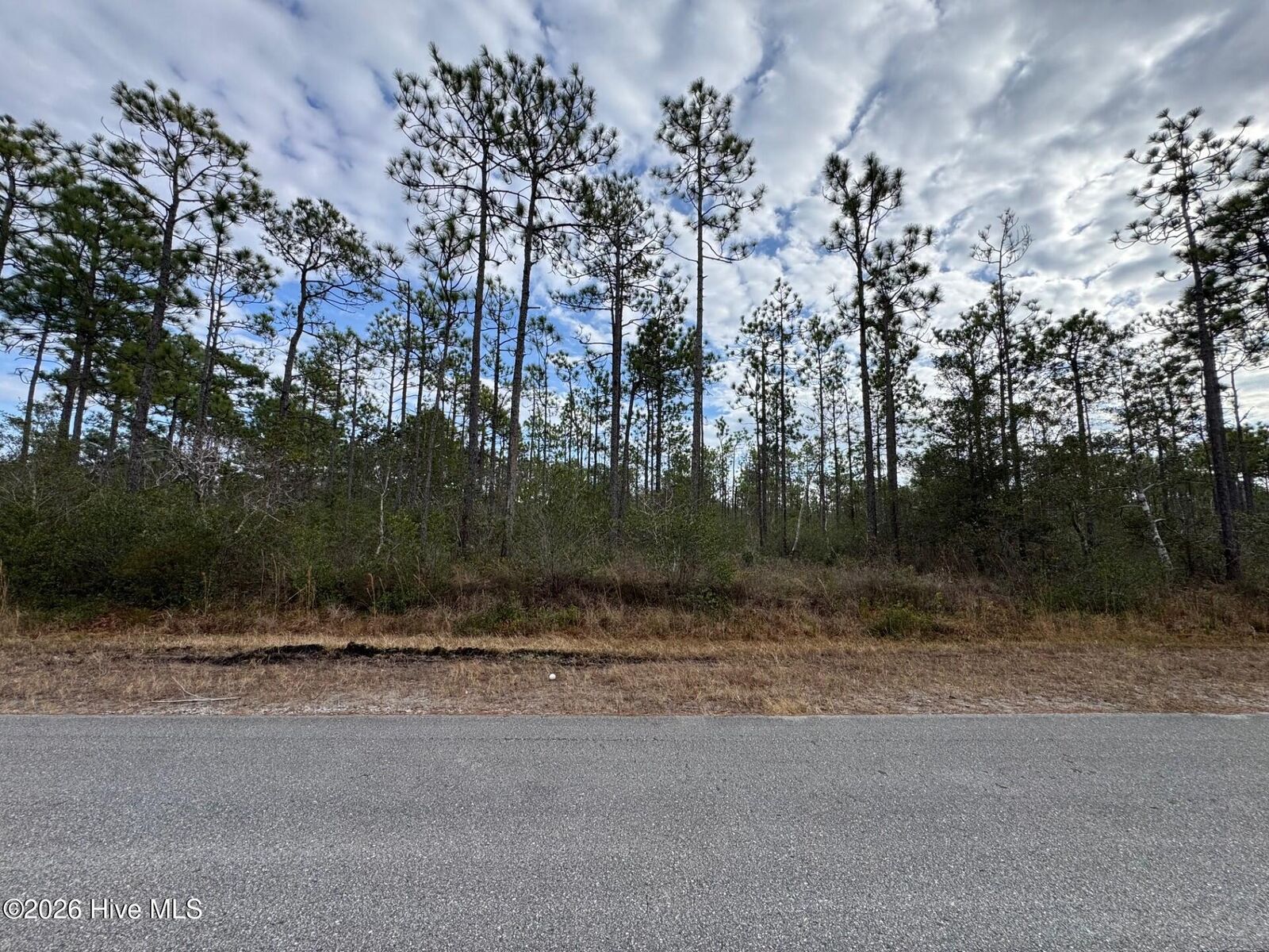 Property Photo:  Lot 22 22 Pepperhill Road  NC 28461 