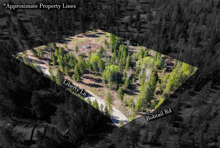 Property Photo: Lot 2C Liberty Lane MT 59923