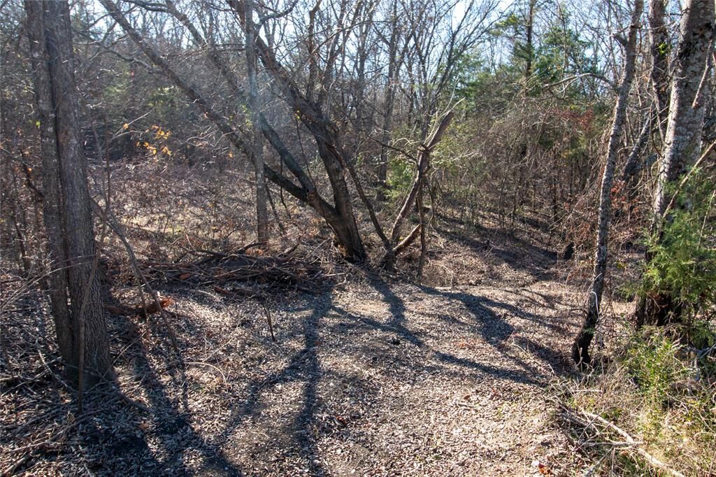 Property Photo:  Lot 2 County Road 2905  TX 75438 