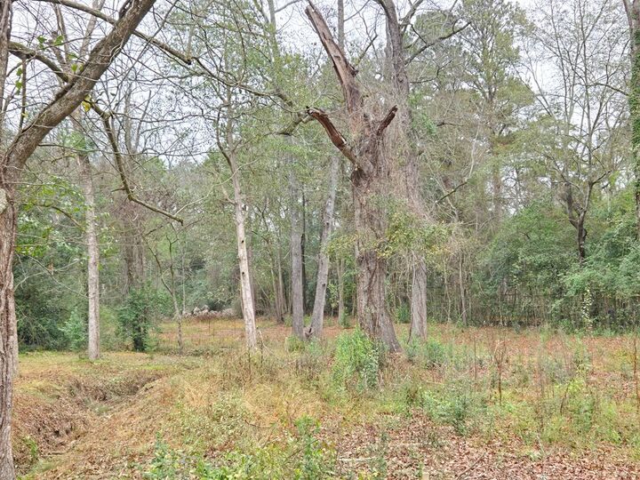 Property Photo:  3857 Woodland Drive  GA 31907 