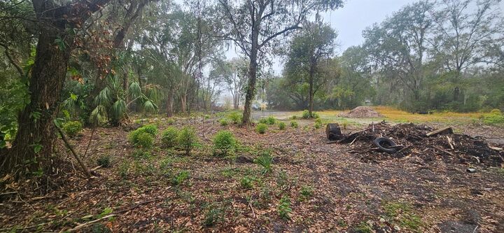 Property Photo:  Pevetty  FL 33563 