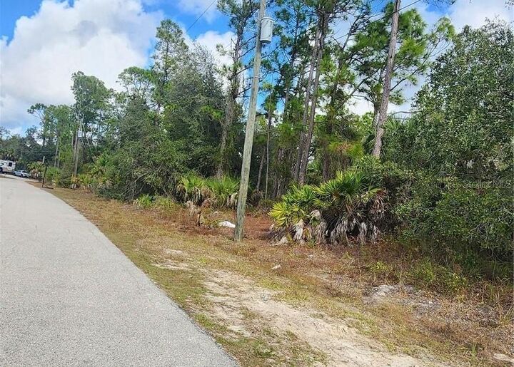Property Photo:  Ananas Road  FL 34288 